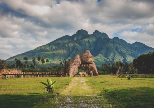 Rwanda Safaris at Volcanoes national park