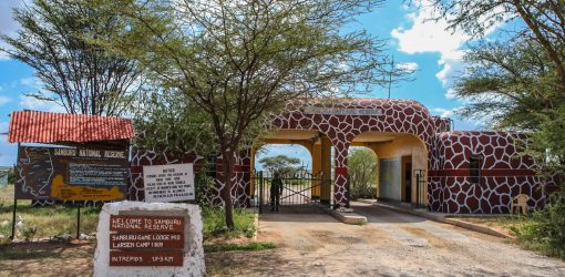 Samburu_National_Reserve,_Kenya