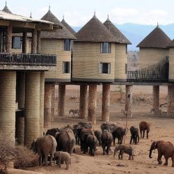 4 DAYS/3 NIGHTS; AMBOSELI, TSAVO WEST AND EAST.