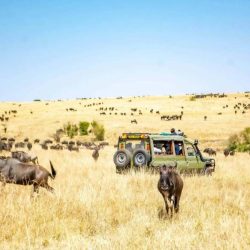 best african bush safaris