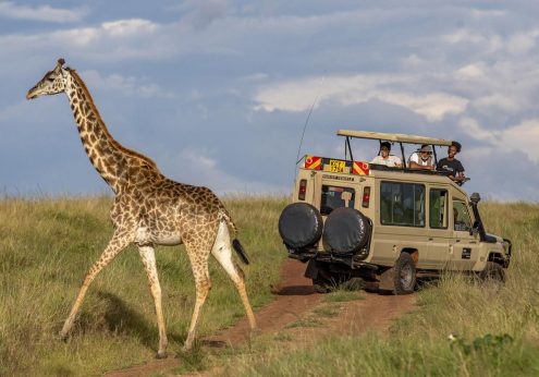 maasai mara national reserve safaris